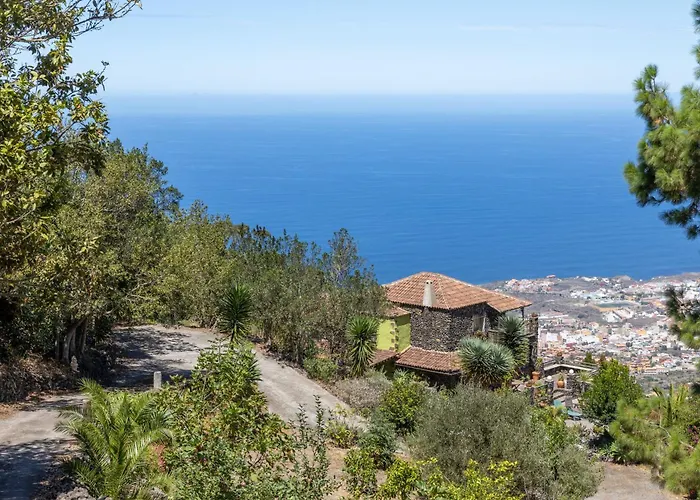 La Perla Negra イコー・デ・ロス・ビノス