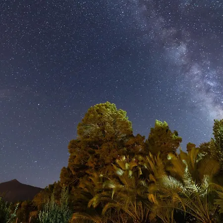 La Perla Negra Tatil Evi